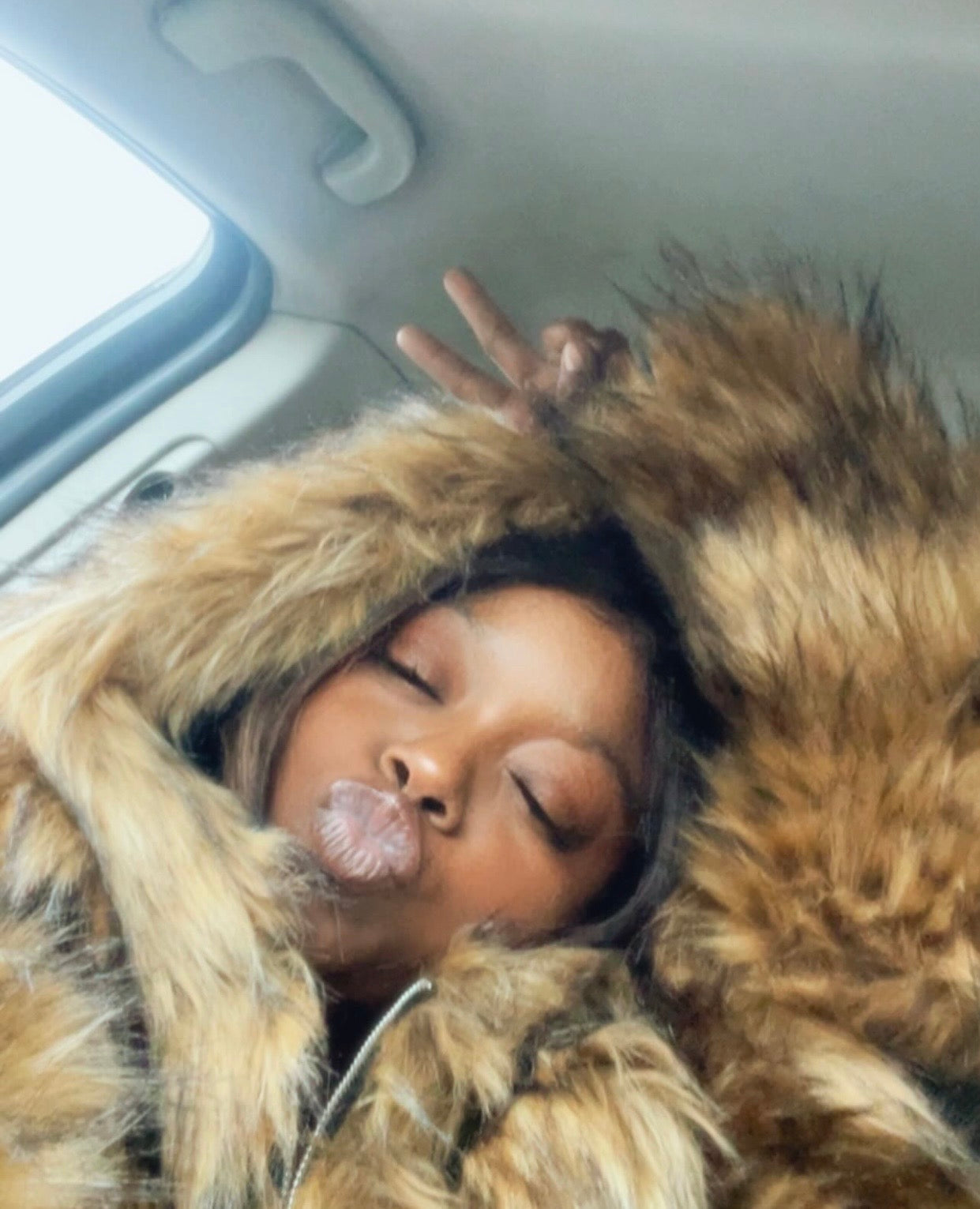“ The Plush “ Fur Coat